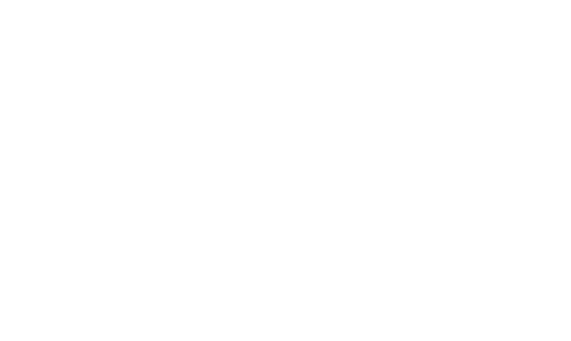 Pure&Clean Vision Source logo (white)